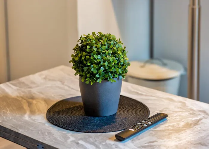 Le Symphonie Votre Joli F2 Au Coeur De ! Rouen